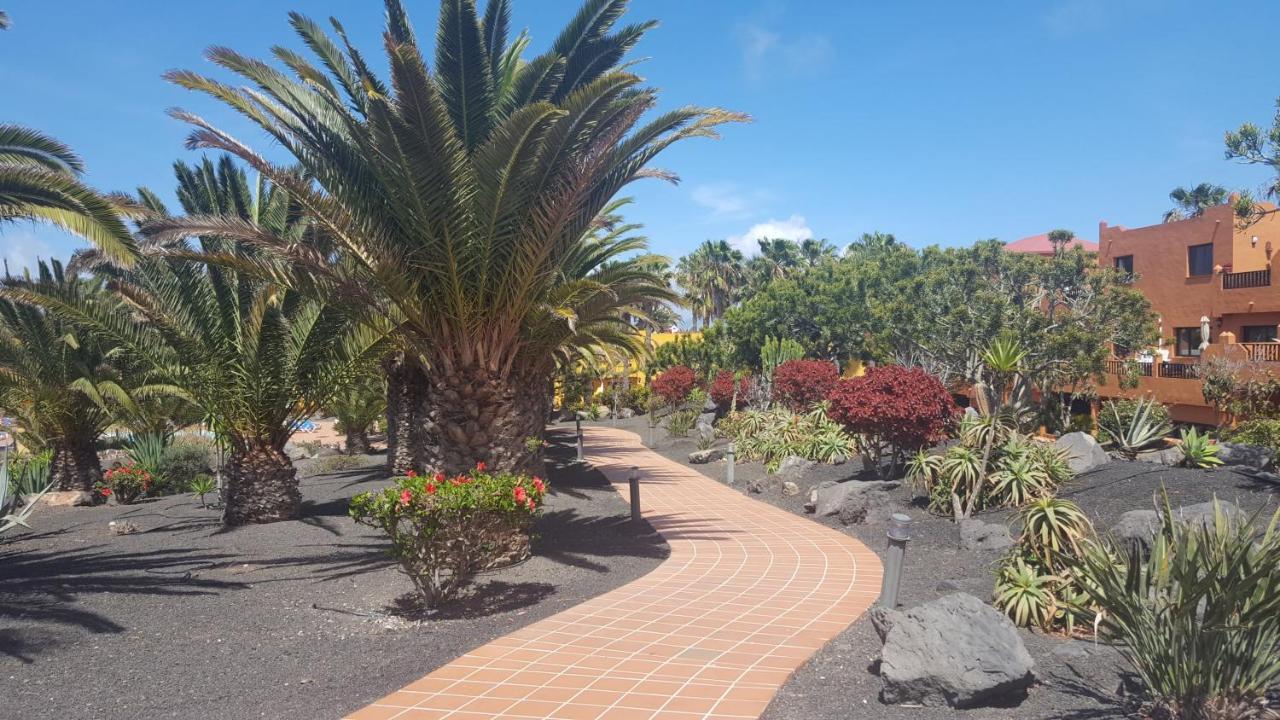 Apartmán Oasis Royal 3 Piscinas Corralejo Exteriér fotografie